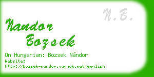 nandor bozsek business card